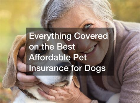 Best pet insurance for older dogs in 2024 .